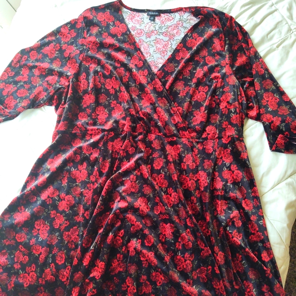 Torrid Size 4 Velvet rose print dress